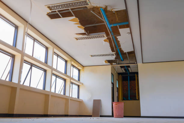 Trusted Wrangell, AK Water damage restoration Experts