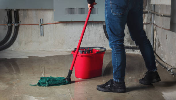 Best Water damage cleanup near me  in Wrangell, AK
