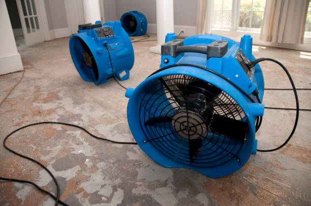 Best Commercial water damage restoration  in Wrangell, AK