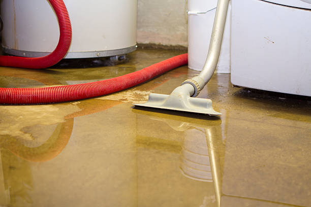 Best Professional water damage repair  in Wrangell, AK