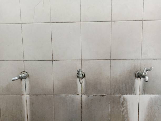 Best Sewage cleanup and water damage restoration  in Wrangell, AK