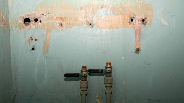 Best Water damage restoration process  in Wrangell, AK