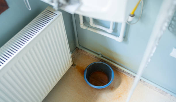 Best Commercial water damage restoration  in Wrangell, AK