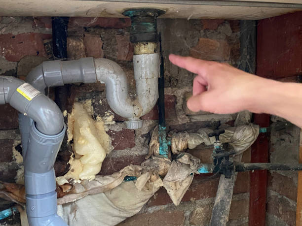  Wrangell, AK Water damage restoration Pros