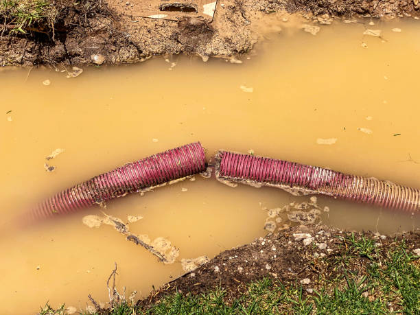 Best Water damage repair service  in Wrangell, AK